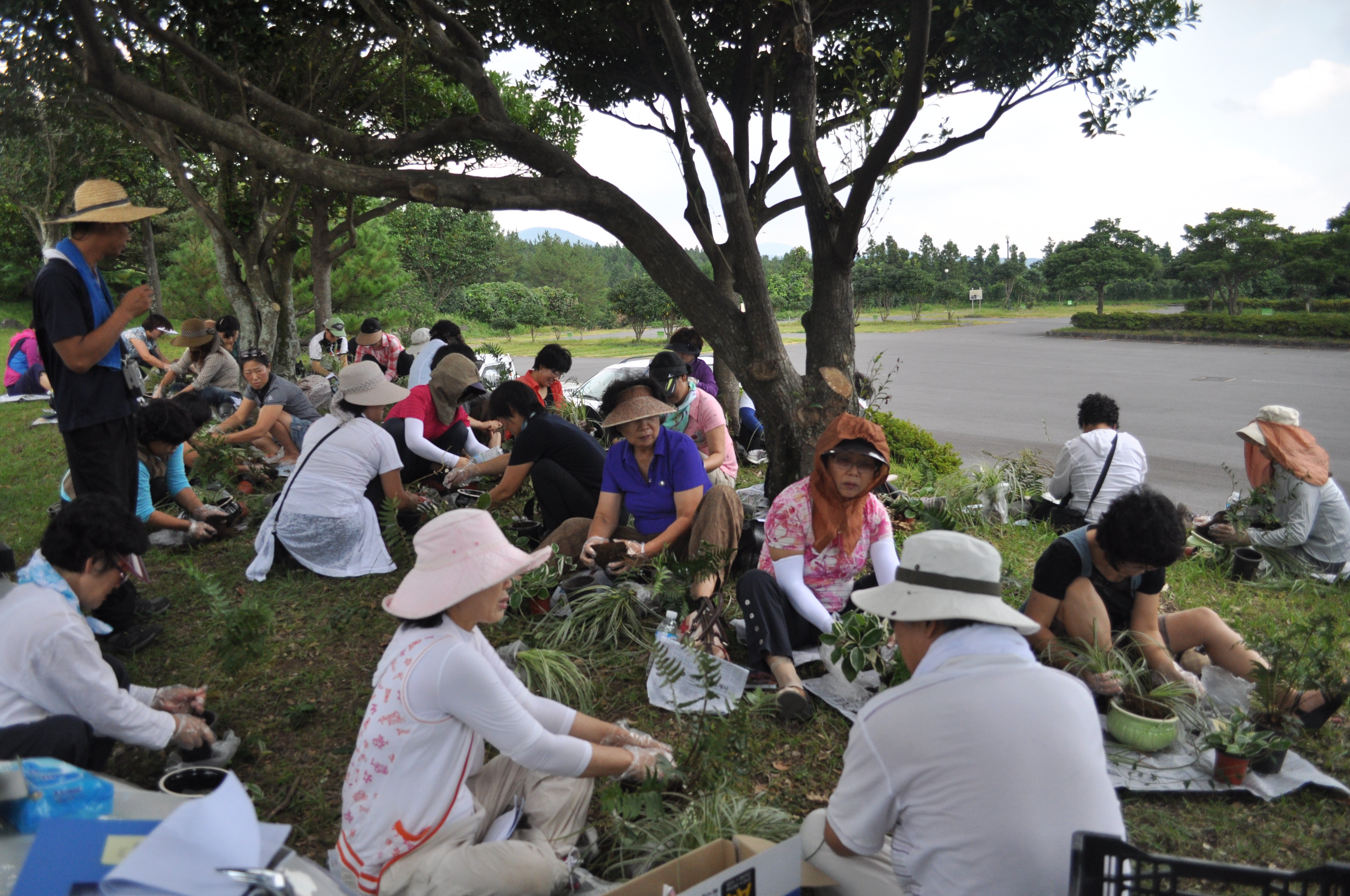 도시생활농업 활성화 생활원예 교육(2차수,2011.9.15)